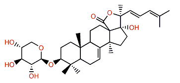 Hillaside A